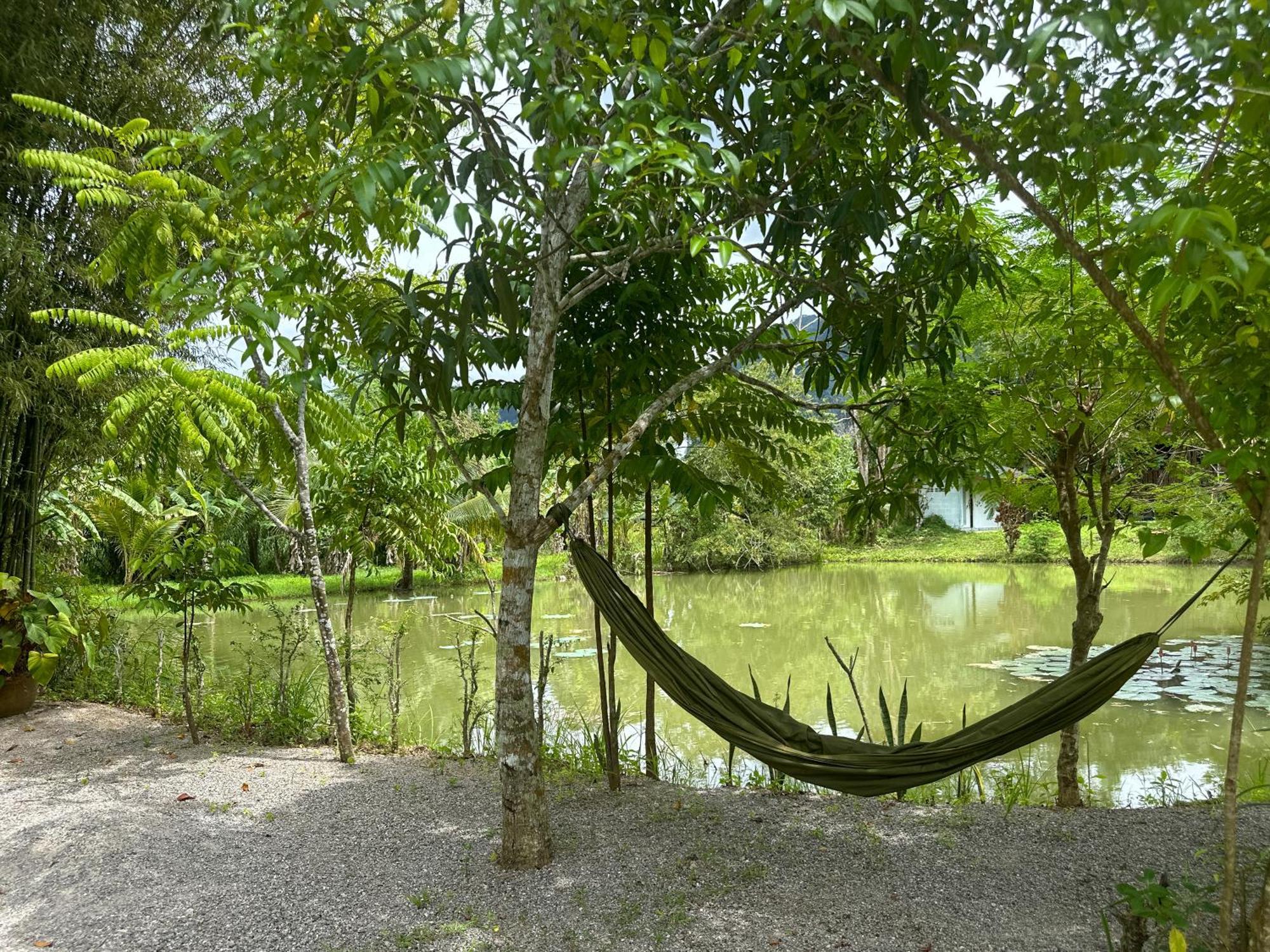 Baan Panmala Guesthouse - Ao Luek, Krabi town Exteriér fotografie